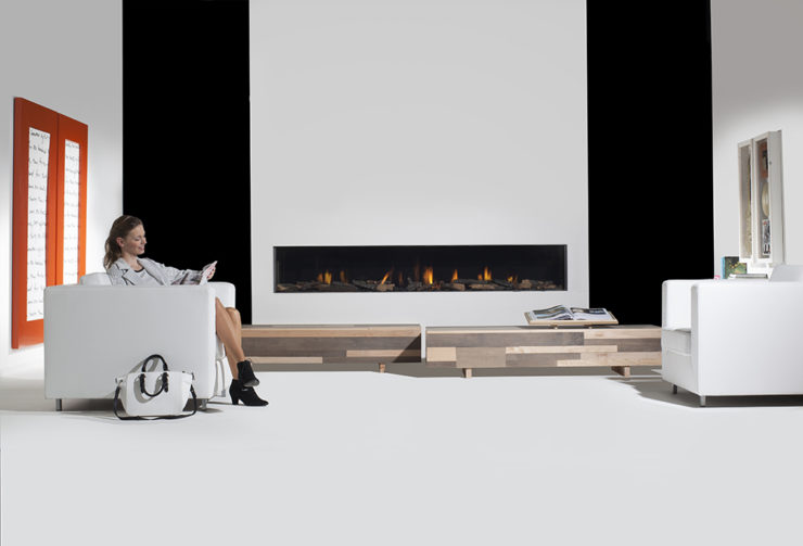 Contemporary Direct Vent Fireplace